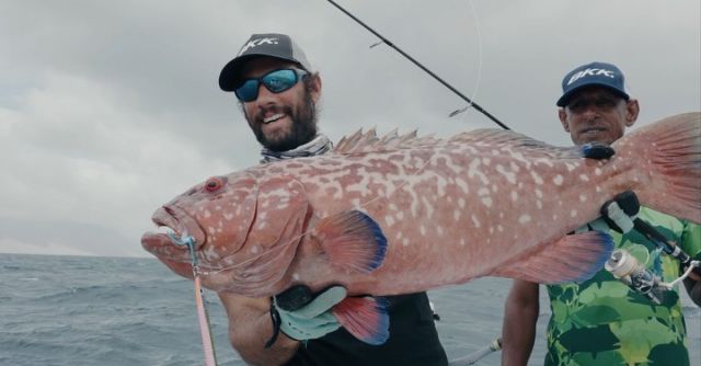 Nicola from WSE sending some proper jigging vibes from Socotra, where the WSE crew put some of our jigging hooks to test with many local species dwelling around the reef.

#bkkhooks #betterstrongersharper #hookyourdream #jigging #wildseaexpedition #fishingtravel #fishingtrip #guidedfishing #jiggingfishing