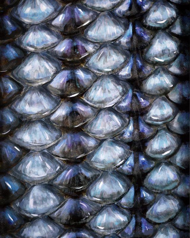 2022 International catalog is out and a lot of new juicy stuff in it, link in bio!

…name of the fish species on the cover?

#bkkhooks #betterstrongersharper #hookyourdream #fishingtackle #terminaltackle #fishinghook #fishingisdope